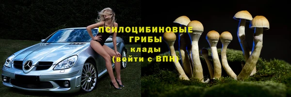 a pvp Вяземский