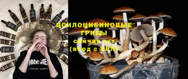 амф Вязники